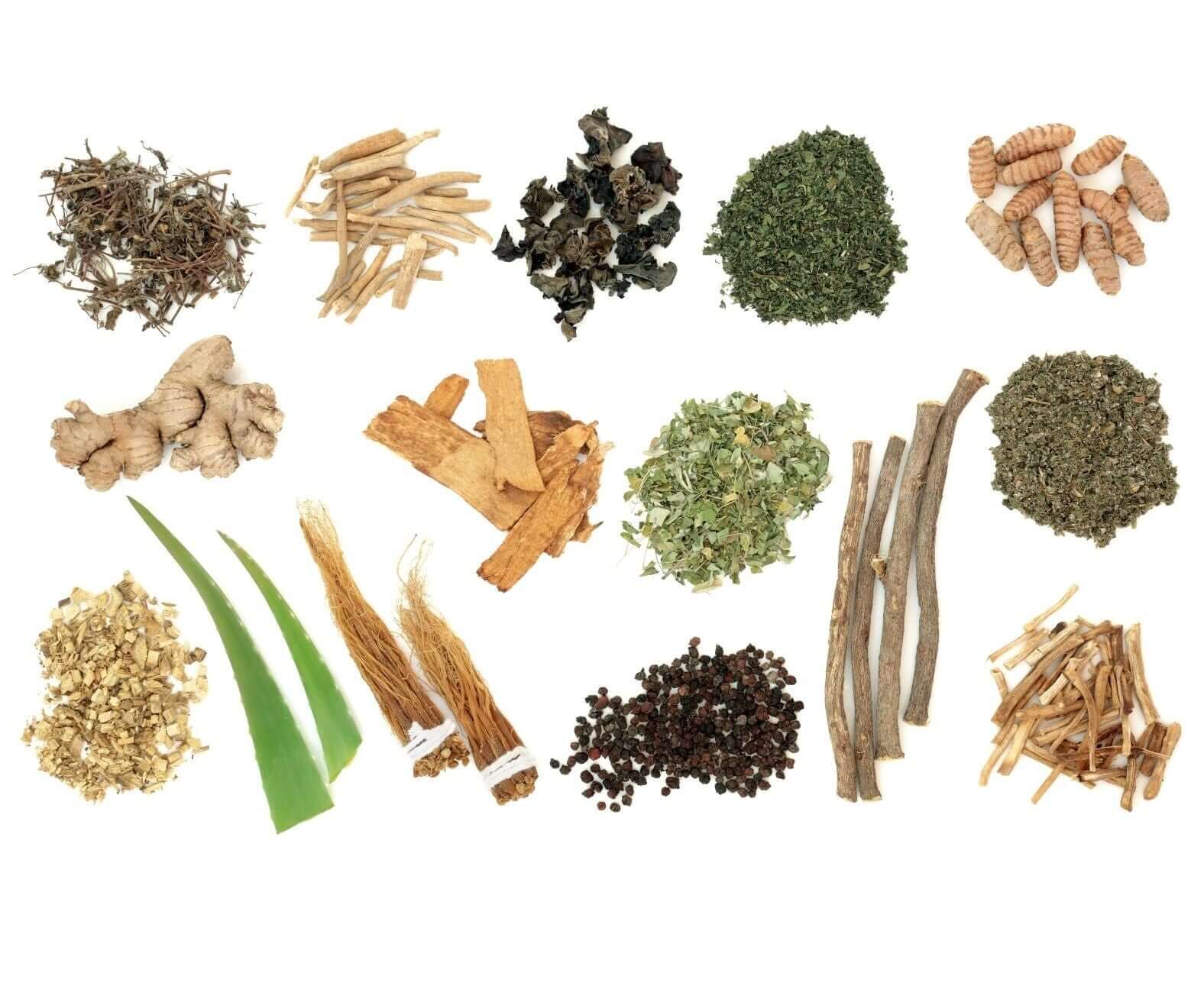Adaptogens The Super Herbs For Dogs