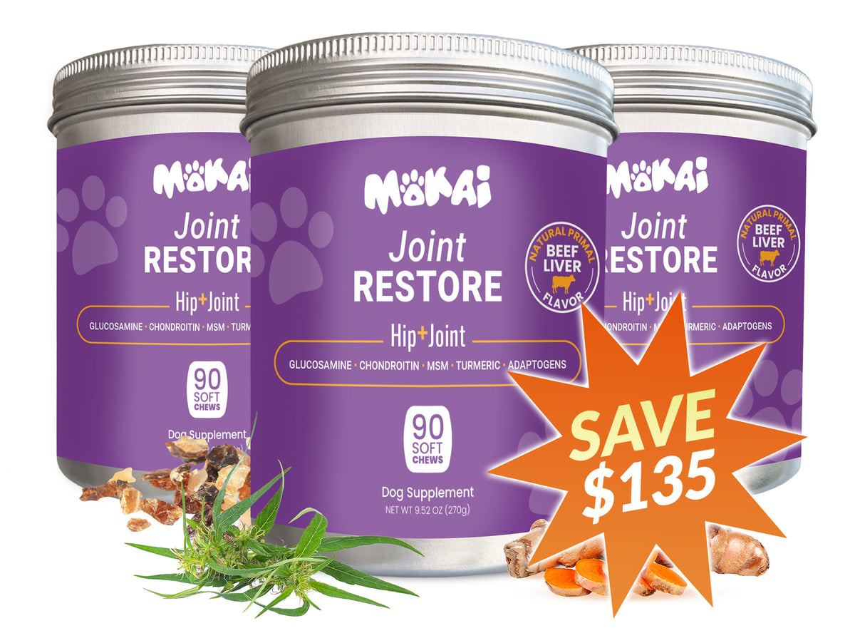 Joint Restore: Grab 3 More Jars for 64% Off