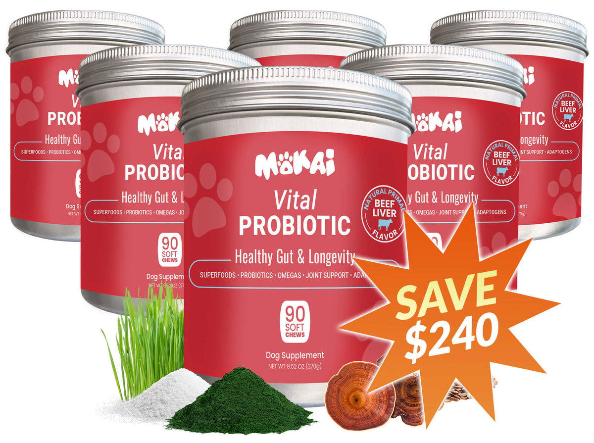 Vital Probiotic: The Perfect Companion to Joint Restore