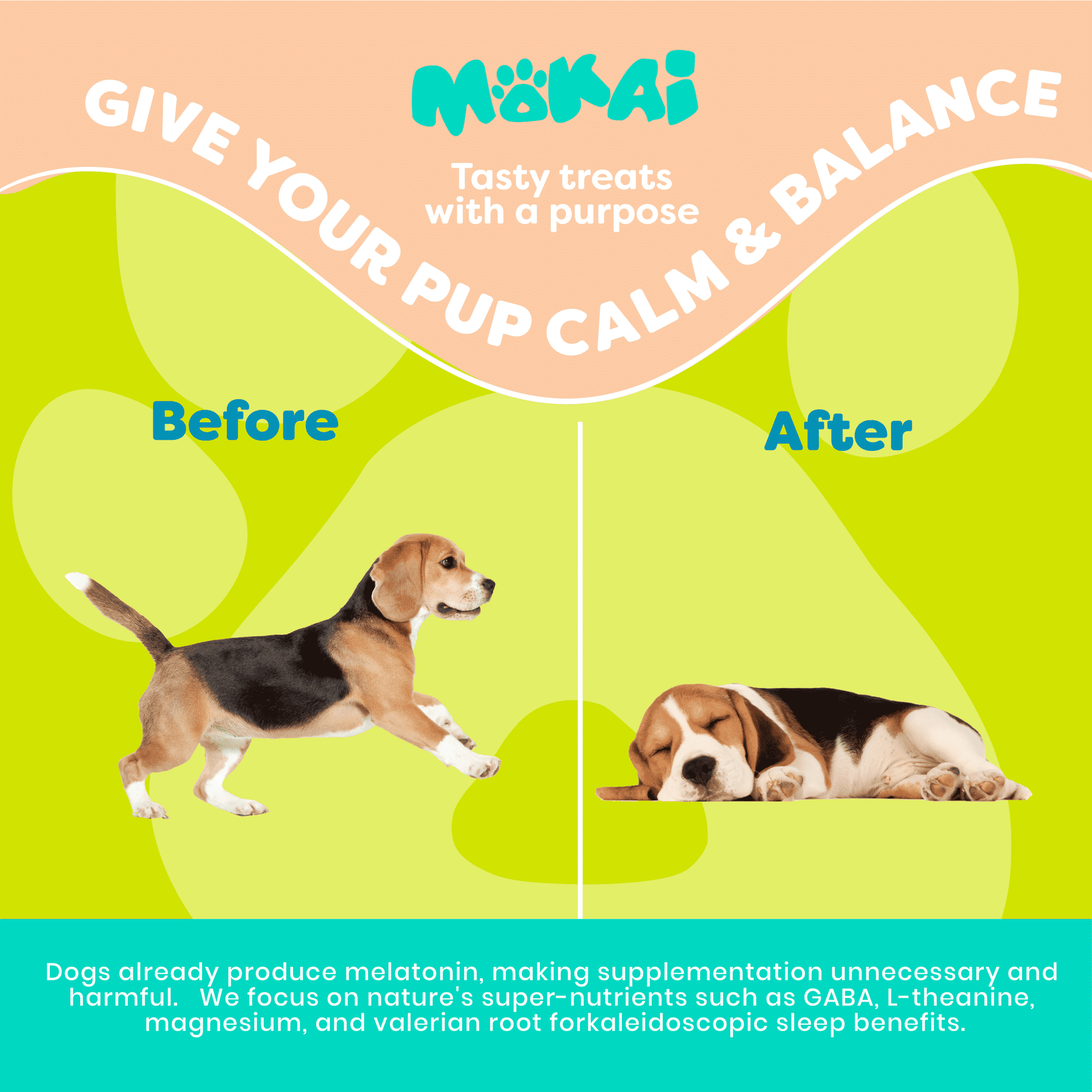 anxiety treats for dogs