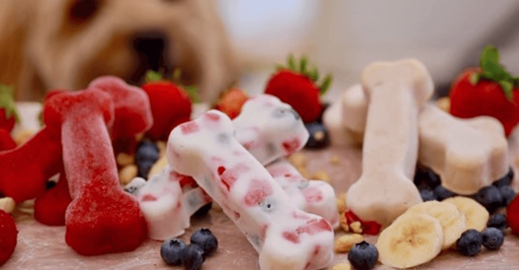 Homemade dog treats for summer