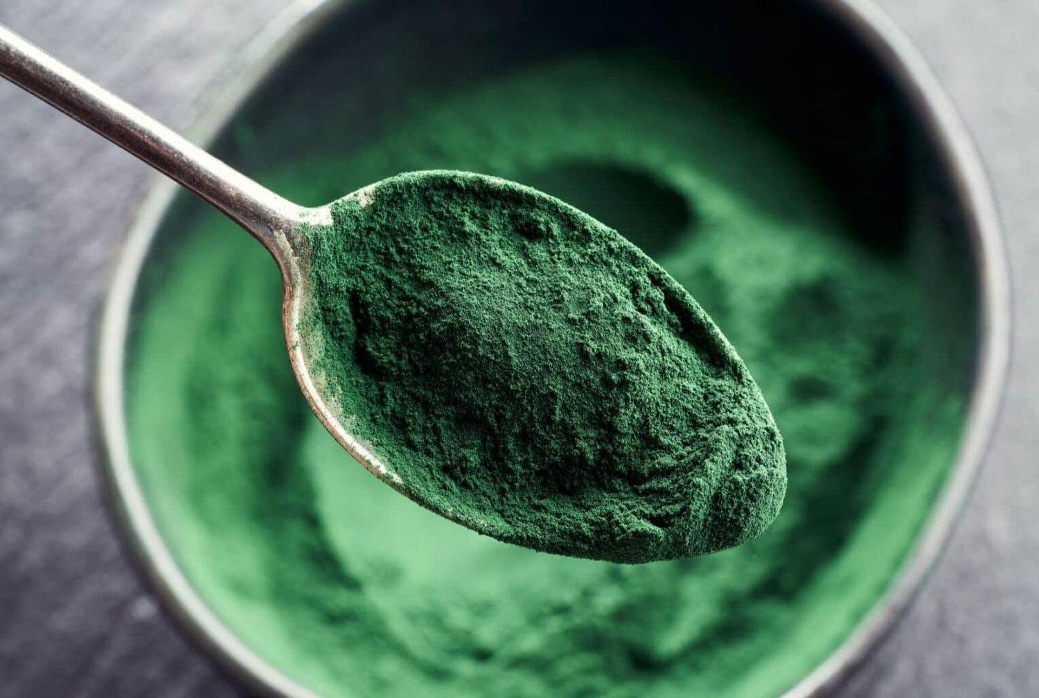 spirulina for dogs