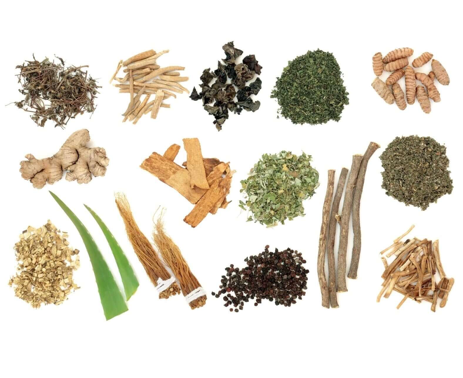 adaptogens super herbs