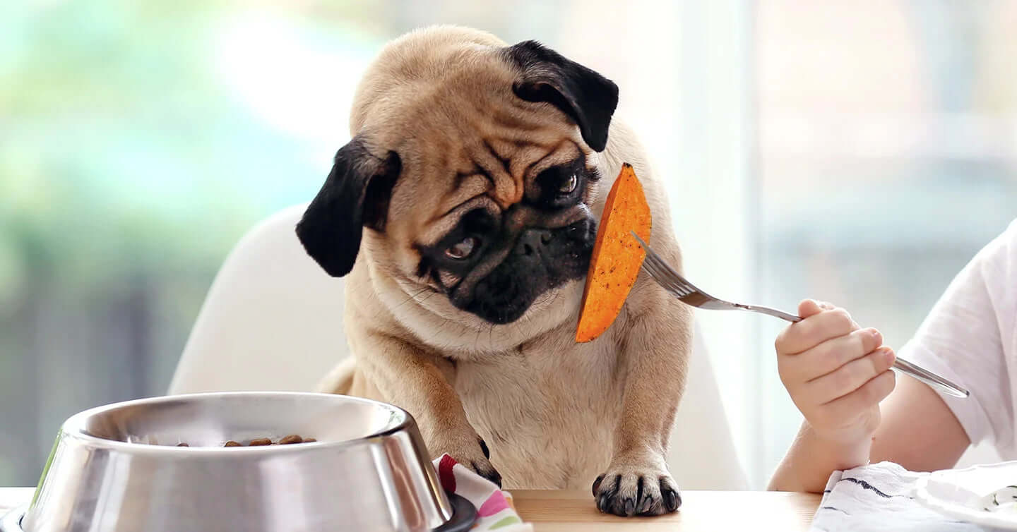 How do you cook sweet potatoes for dogs?