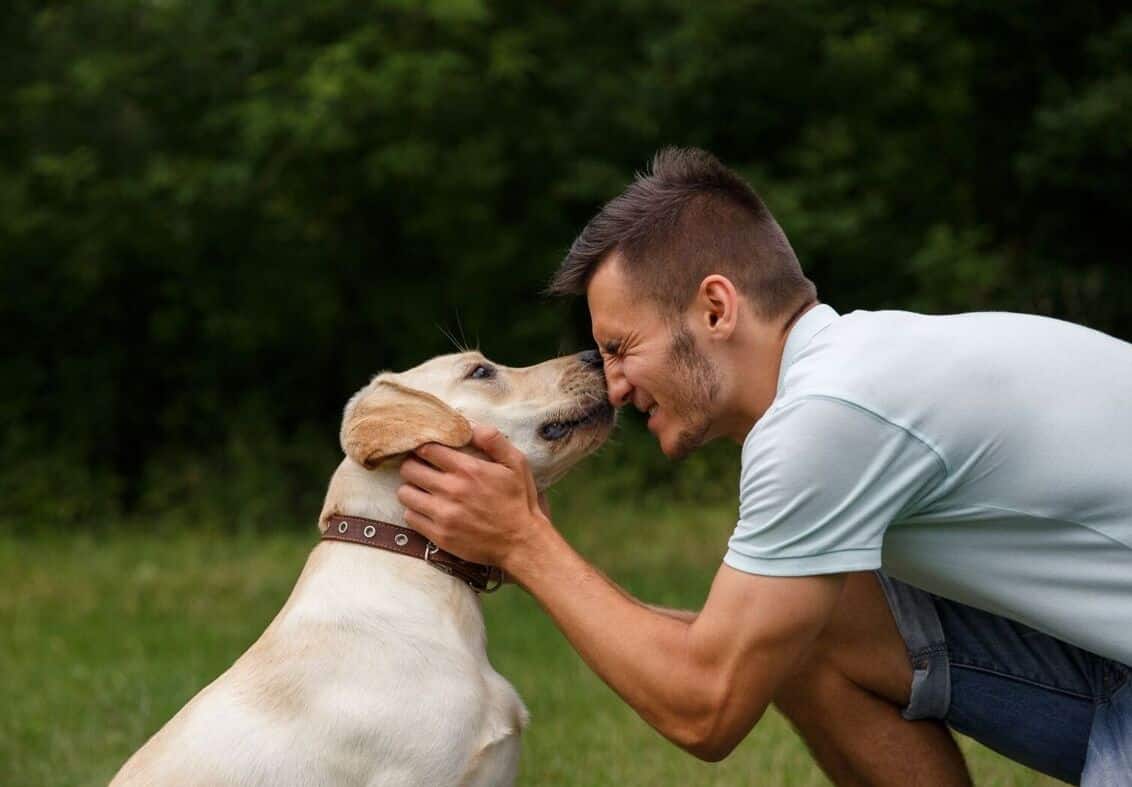 dog's father day