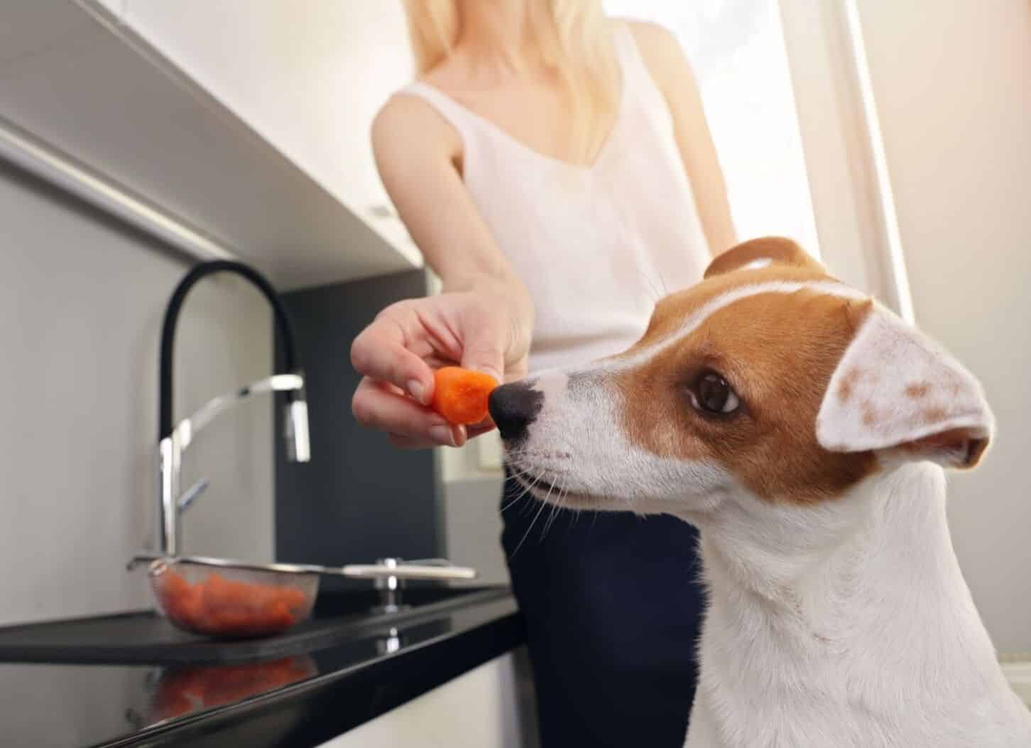 homemade dog treats