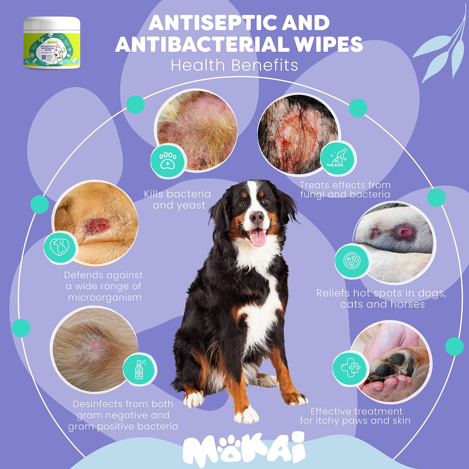 Antiseptic Wipes For Dogs