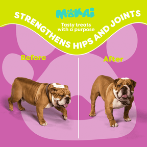 Hemp Mobility For Dogs