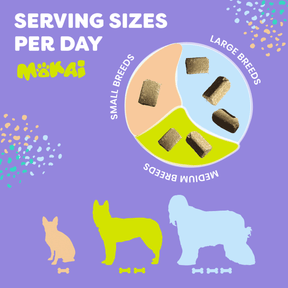Hemp Mobility For Dogs