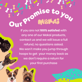 Hemp Mobility For Dogs
