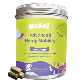 hip and joint supplement for dogs