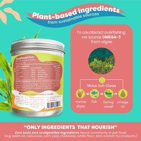 allergy relief supplement for dogs