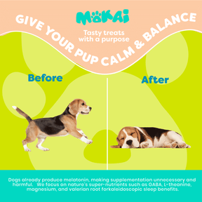 anxiety treats for dogs