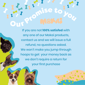 Multivitamins For Dogs