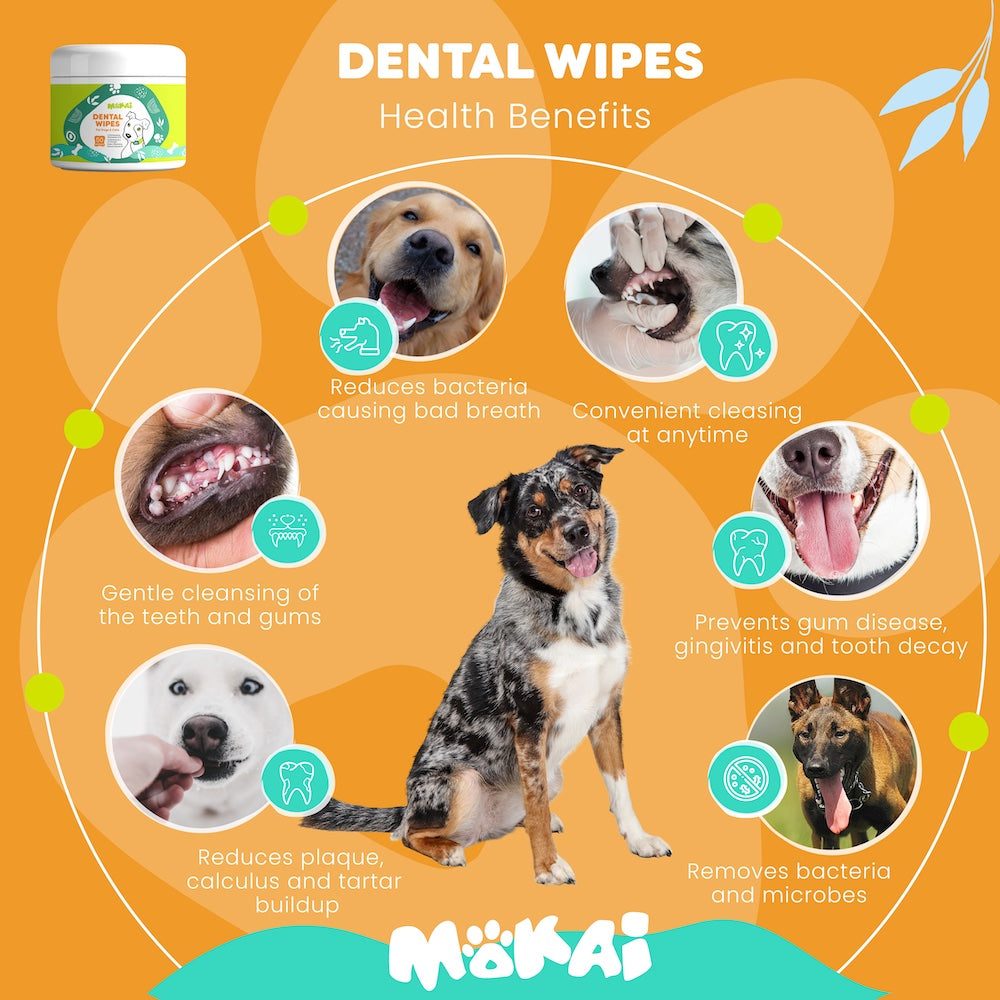 Dental Wipes For Dogs