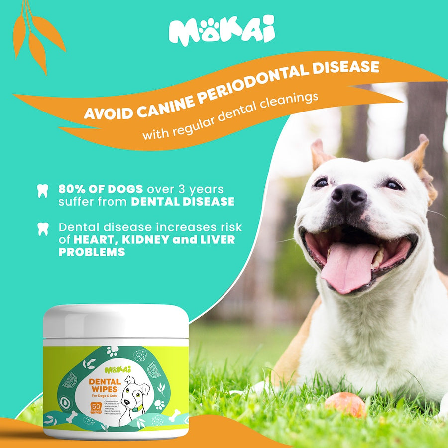 Dental Wipes For Dogs | Easy Dog Dental Cleaning