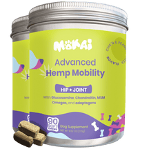 Hemp Mobility For Dogs