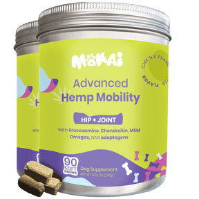 Hemp Mobility For Dogs